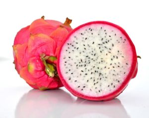 Como Fazer Muda de Pitaya