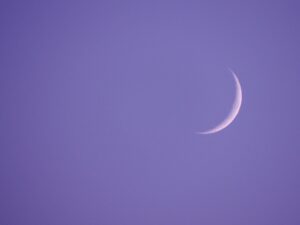 O Que Plantar na Lua Nova?