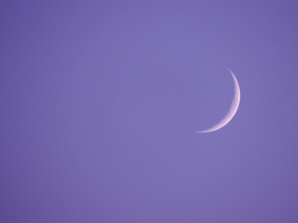 O Que Plantar na Lua Nova?