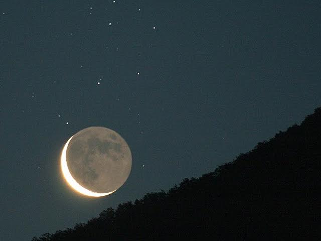 O Que Plantar na Lua Nova?