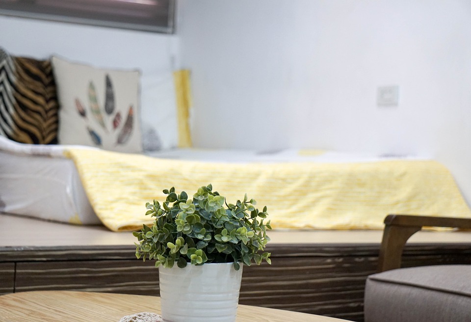 Plantas Para Quarto