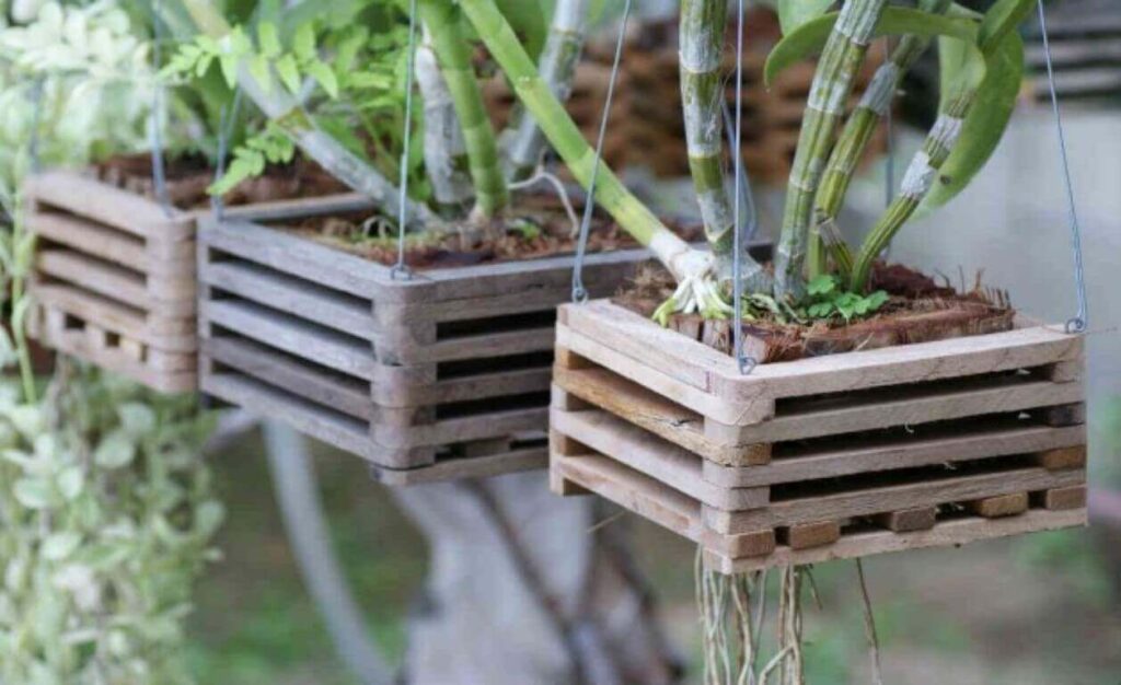 Cachepot de Madeira Para Orquídeas