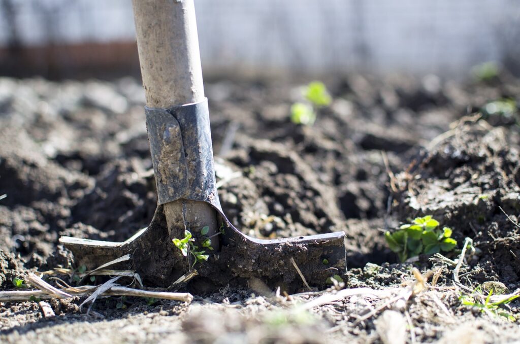 Enxofre Para Plantas