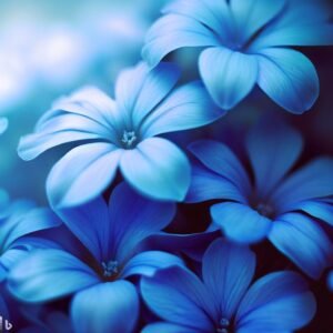 Flores Azul Um Guia Completo