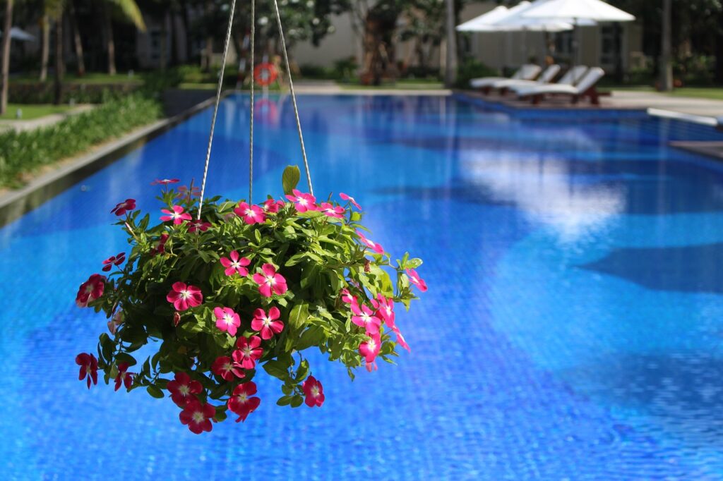 Plantas Para Piscina