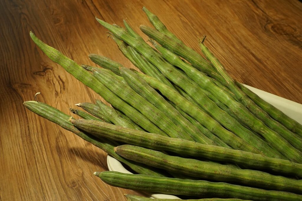 Semente de Moringa Um Guia Completo