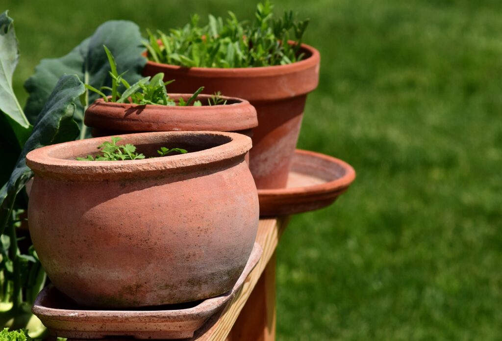 Vasos Para Plantas Guia Completo