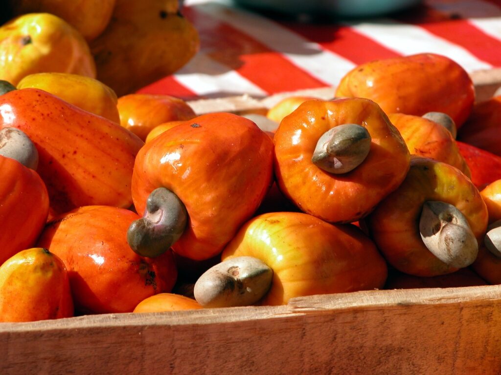 Frutas Exóticas Brasileiras