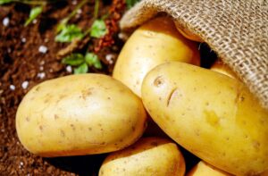 Tipos de Batata