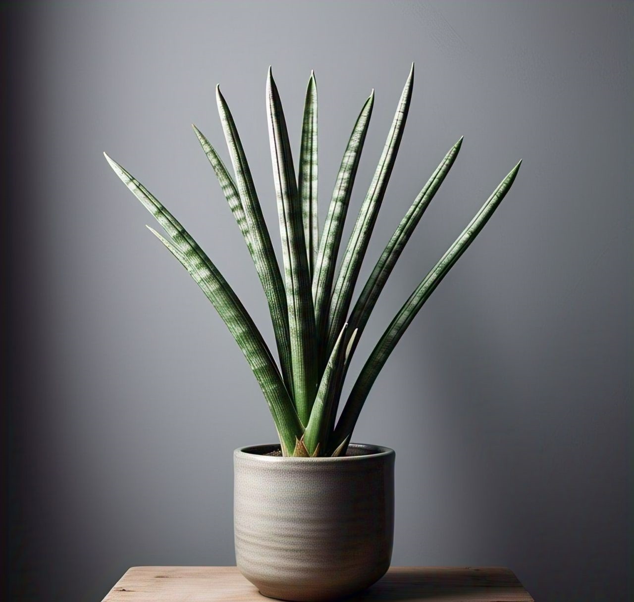 10 Plantas Que São Quase Imortais